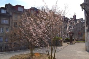 A chaque printemps la terrasse est en fête
